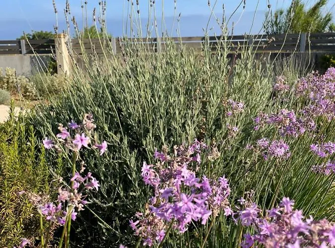 Lagoon View * Lefkáda